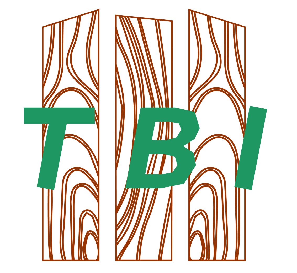 logo tbi